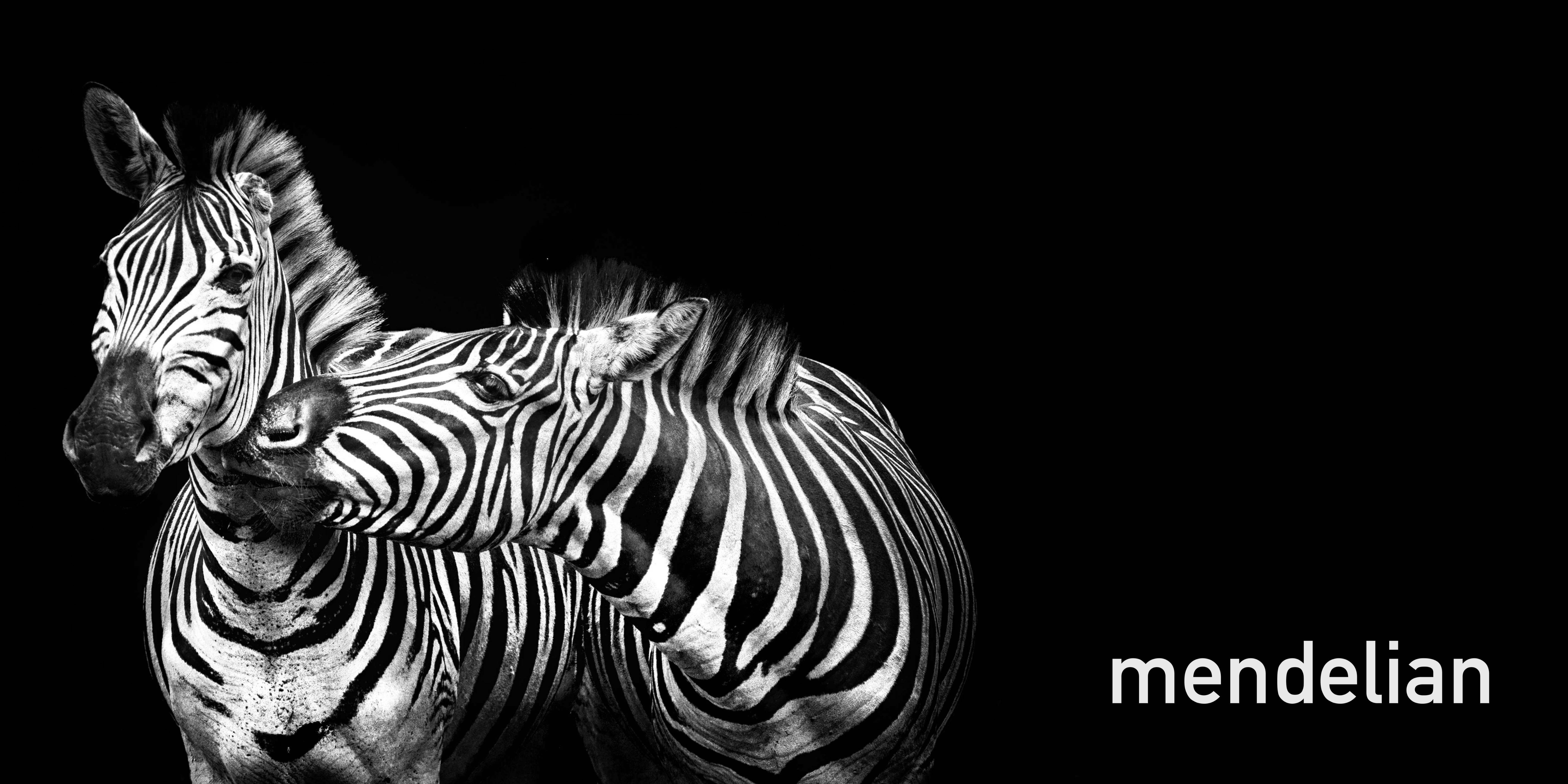 Mendelian Rare diseases zebras